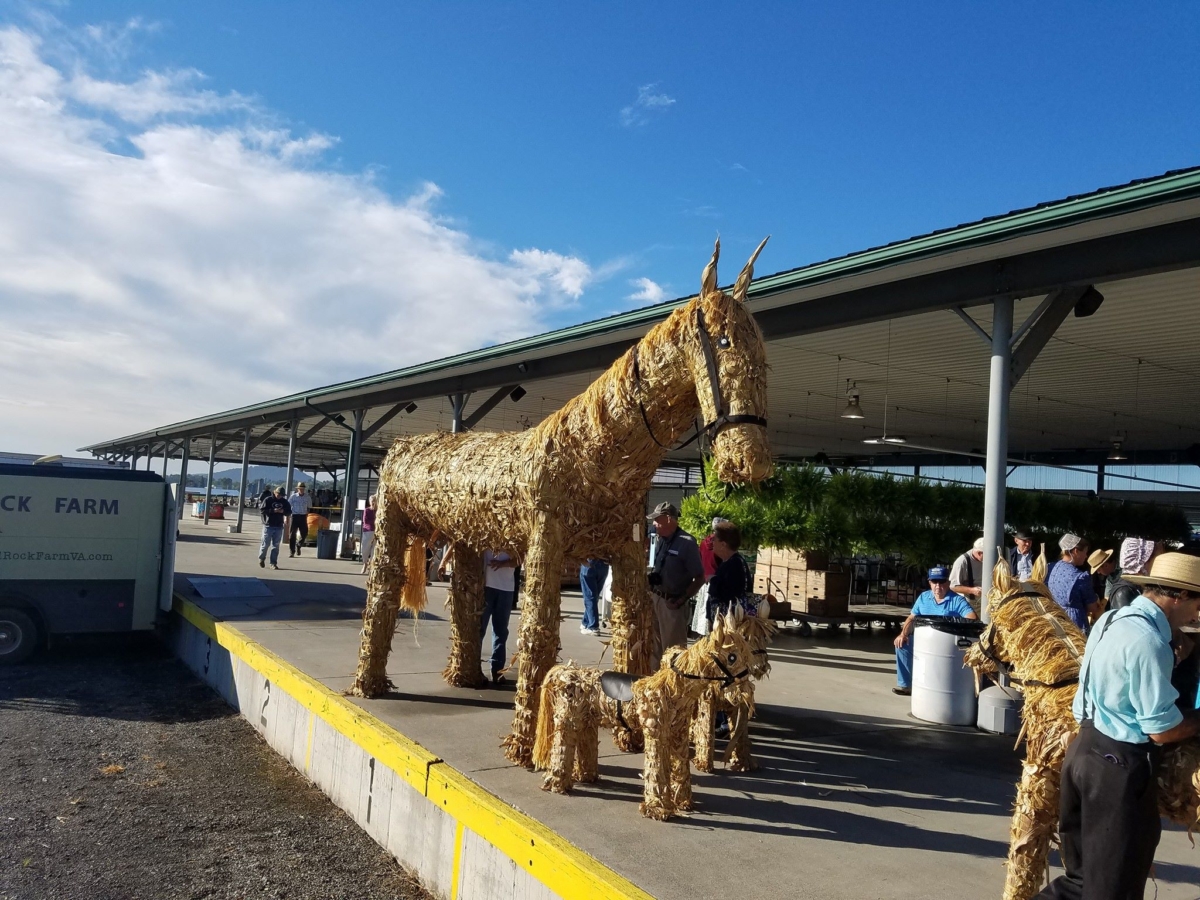 Produce Auction 930, Customer Appreciation Day! Shenandoah Valley