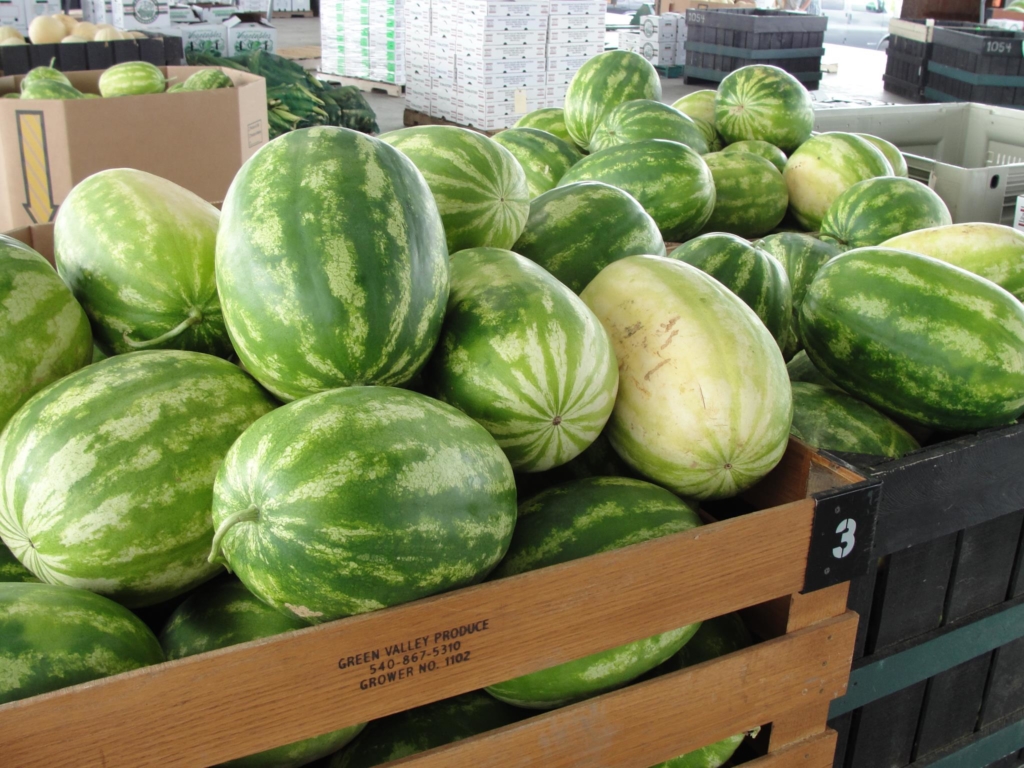 watermelons Shenandoah Valley Produce Auction